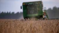 Com colheita avançada, relatório confirma maior safra de soja da história do Paraná