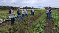 Ações do IDR-Paraná preservam recursos hídricos