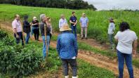 Ações do IDR-Paraná preservam recursos hídricos