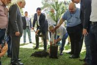 Jardim do Palácio ganha nova araucária do Projeto Pinhão e colmeias de abelhas sem ferrão