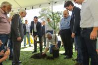 Jardim do Palácio ganha nova araucária do Projeto Pinhão e colmeias de abelhas sem ferrão