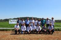 IDR-Paraná lança cultivar de feijão carioca em Ponta Grossa