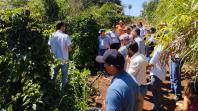 IDR-Paraná incentiva produção de frutas orgânicas em Arapongas