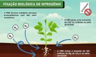 Fixação biológica de nitrogênio gera lucro e benefício ambiental