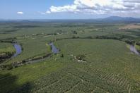 Com Plano Estadual do Clima, sistema de agricultura do Paraná assume desafios ambientais