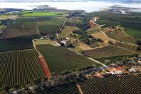 Com Plano Estadual do Clima, sistema de agricultura do Paraná assume desafios ambientais