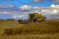 Com Plano Estadual do Clima, sistema de agricultura do Paraná assume desafios ambientais