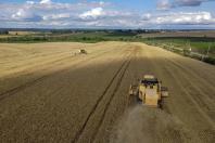 Com Plano Estadual do Clima, sistema de agricultura do Paraná assume desafios ambientais