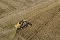 Com Plano Estadual do Clima, sistema de agricultura do Paraná assume desafios ambientais