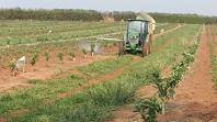 Sistema Estadual de Agricultura promove grande operação para baixar casos de greening e reforçar prevenção