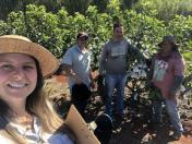 Técnica dos produtores e apoio do Estado ajudaram Carlópolis a virar Capital Nacional da Goiaba