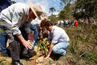 IDR-Paraná protege mais de 4,5 mil fontes de água em todo o estado