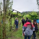 Alunos e docentes marcam presença na II Semana Frutifica Paraná