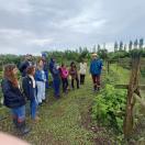Alunos e docentes marcam presença na II Semana Frutifica Paraná