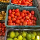 Dia dos Povos Indígenas - Comunidades de Terras Indígenas recebem doação de alimentos