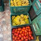 Dia dos Povos Indígenas - Comunidades de Terras Indígenas recebem doação de alimentos