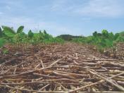 Seminário em Londrina debate impactos das mudanças climáticas sobre o manejo do solo e da água na agricultura