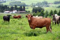 cadastro