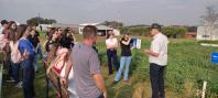 show rural