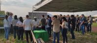 show rural