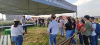 show rural