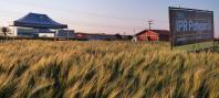 show rural