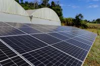 Transformação energética nos hidropônicos: energia solar reduz conta de produtor em 85%