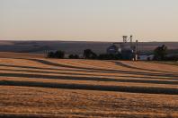 35 cidades do Paraná têm Valor Bruto da Produção Agropecuária superior a R$ 1 bilhão