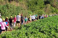 Caminhadas da Natureza de setembro terão cultura, gastronomia e belas paisagens