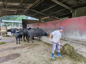 IDR-Paraná recebe Selo Nacional de  Responsabilidade Social Pelo Trabalho Prisional