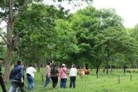 agroecologia