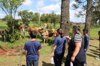 agroecologia