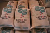 Preço do café e início da colheita de soja são destaques do boletim agropecuário do Deral