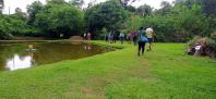 caminhadas
