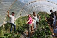 Casa da Agroecologia: mais de 3.500 pessoas passaram pelo projeto em 2024