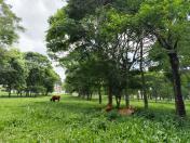 agroecologia