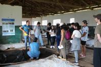 Aviso de Pauta: IDR-Paraná promove Dia de Campo em Agroecologia