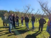 Seminário na Lapa busca fortalecer fruticultura de clima temperado