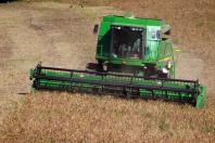 Paraná confirma novo recorde e liderança nacional na produção de feijão: 865 mil toneladas