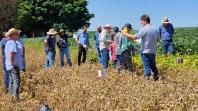IDR-Paraná divulga resultados e avanços do Projeto Grãos Centro-Sul