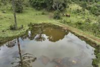 Paraná tem projeto de proteção de microbacias no campo para garantir segurança hídrica