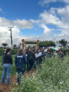 Cascavel tem evento de agroecologia com foco no inverno 