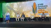 Londrina recebe seminário nacional de milho safrinha