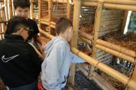 Agroecologia na Escola: projeto aproxima crianças, produção de alimentos e natureza