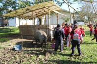 Agroecologia na Escola: projeto aproxima crianças, produção de alimentos e natureza