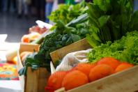 Sistema Estadual de Agricultura divulga ações durante o Dia Mundial da Alimentação