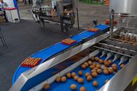 Governador destaca expansão contínua da produção de proteína animal na AveSui 2025