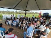Evento do IDR-Paraná discute opção estratégica para pecuária no Arenito Caiuá