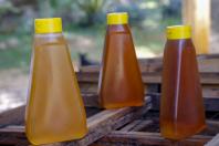 Exportações de milho crescem 179% no Paraná e triplicam a receita em relação ao ano passado