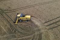 Com quase 47 milhões de toneladas, Paraná registra maior safra de grãos de sua história